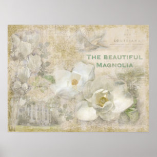 Beautiful Magnolia Vintage Poster