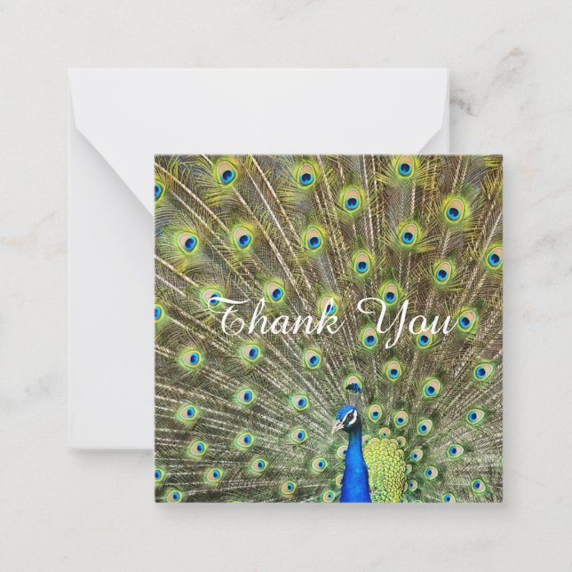 Beautiful majestic peacock Thank You Card (Front)