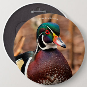 Beautiful Male Wood Duck in the Woods 6 Inch Round Button