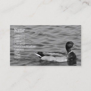 Beautiful Mallard Duck Business Card