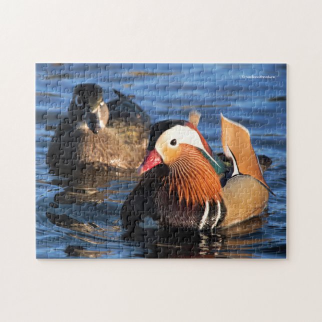 Beautiful Mandarin and Wood Ducks at the Pond Jigsaw Puzzle (Horizontal)