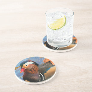 Beautiful Mandarin Duck in the Pond Coaster