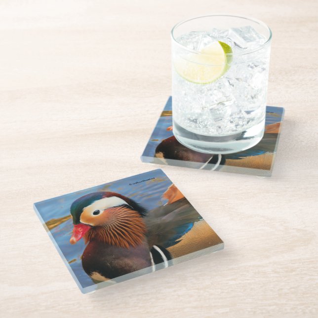 Beautiful Mandarin Duck in the Pond Glass Coaster (Angled)