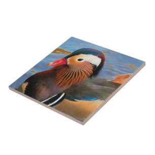 Beautiful Mandarin Duck in the Pond Tile
