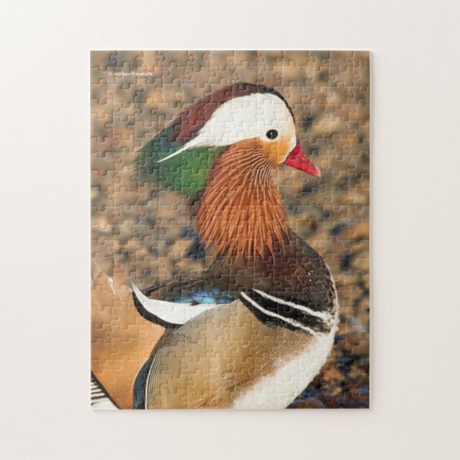 Beautiful Mandarin Duck on the Rocks Jigsaw Puzzle (Vertical)