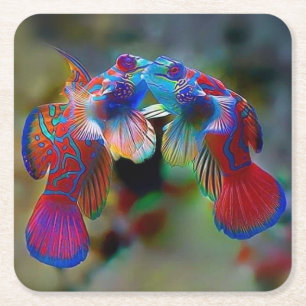 Beautiful Mandarin Fish Coaster Set