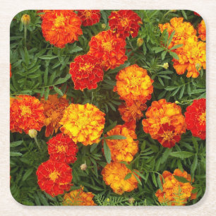 Beautiful Marigolds Coaster Set