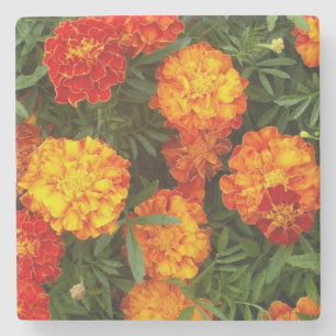 Beautiful Marigolds Stone Coaster