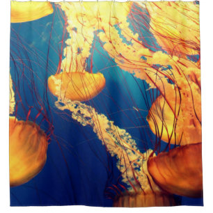 Beautiful Marine Life: Golden Jellyfish