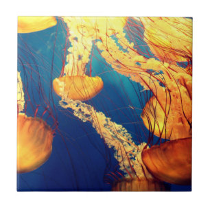 Beautiful Marine Life: Golden Jellyfish Tile