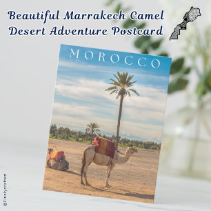 Beautiful Marrakech Camel Desert Adventure Postcard