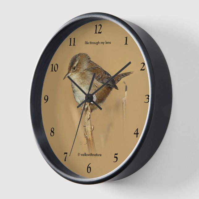 Beautiful Marsh Wren Songbird on Branch Wall Clock (Angle)