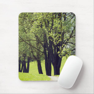 Beautiful Meadow Mouse Pad