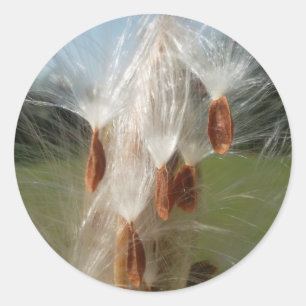 Beautiful Milkweed Magic: A Skyward Flight Design Classic Round Sticker