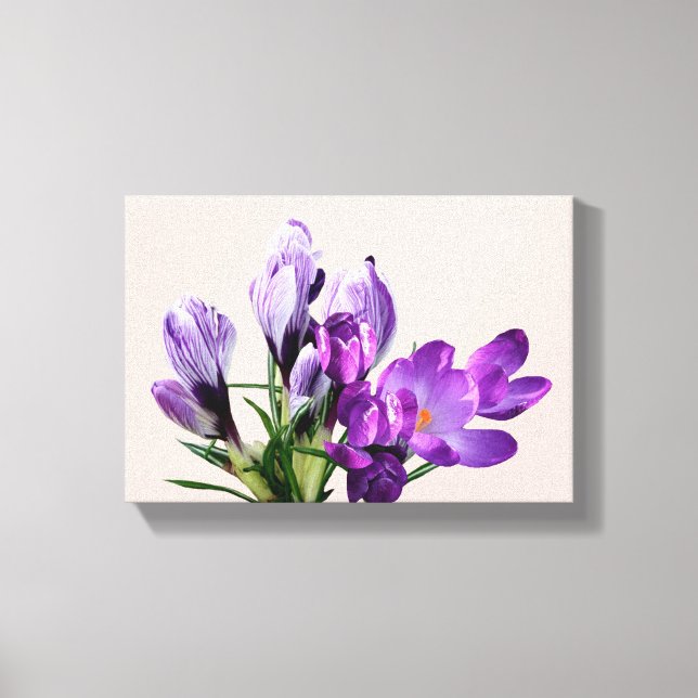 Beautiful moderm pretty purple crocus floral    ca canvas print (Front)