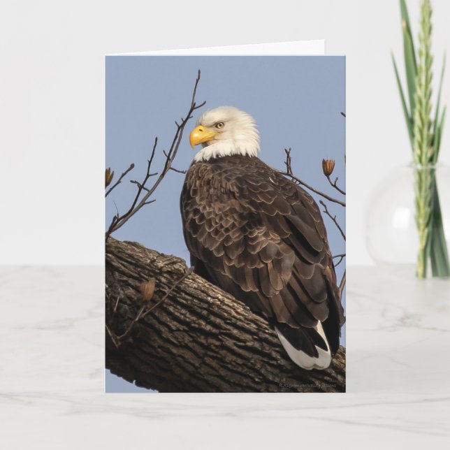 Beautiful Mom (Eagle)   Card (Front)