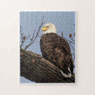 Beautiful Mom (Eagle) Jigsaw Puzzle