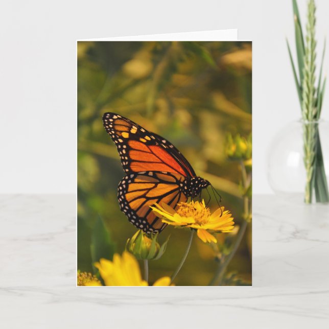Beautiful Monarch Butterfly Blank Inside Note Card (Front)