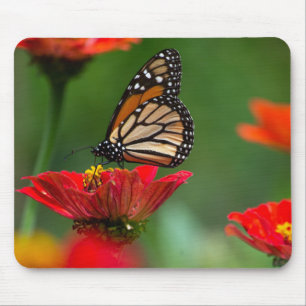 Beautiful Monarch Butterfly Mouse Pad