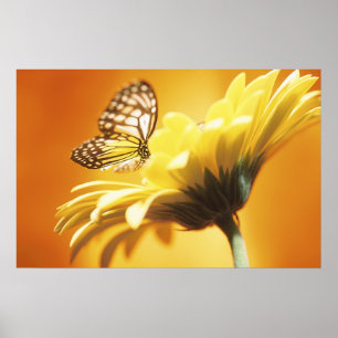 Beautiful Monarch Butterfly on a Flower Print