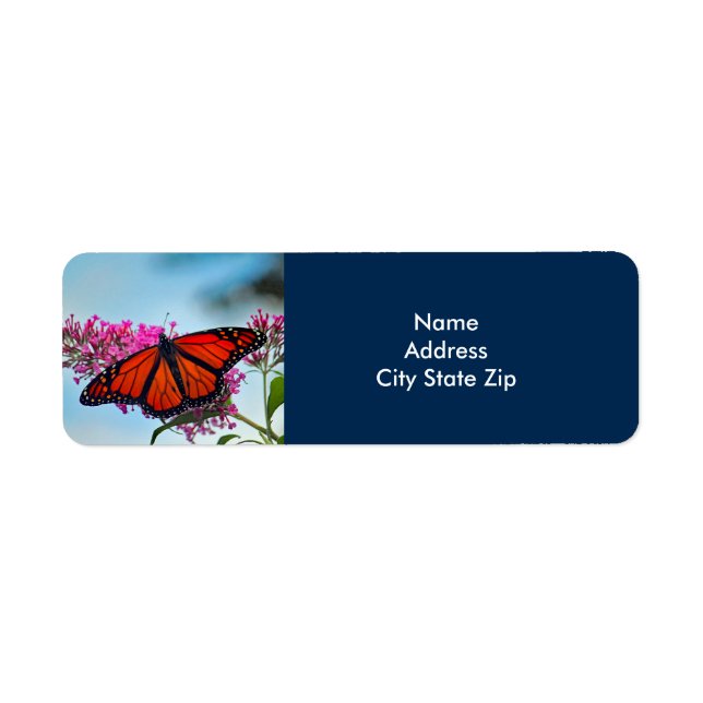 Beautiful Monarch Butterfly Photo (Front)