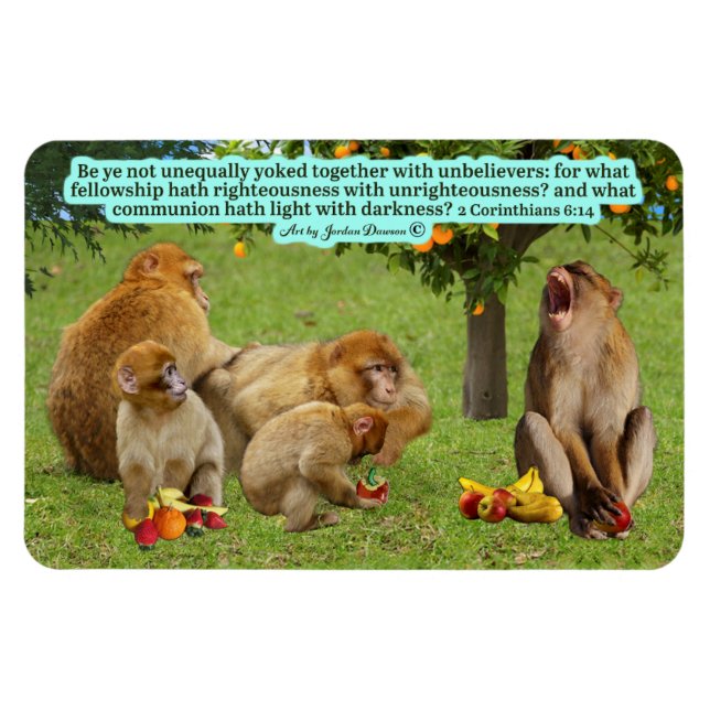 Beautiful Monkey Scripture 2 Corinthians 6:14 Magnet (Horizontal)