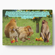 Beautiful Monkey Scripture 2 Corinthians 6:14