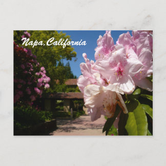 Beautiful Mont La Salle Postcard