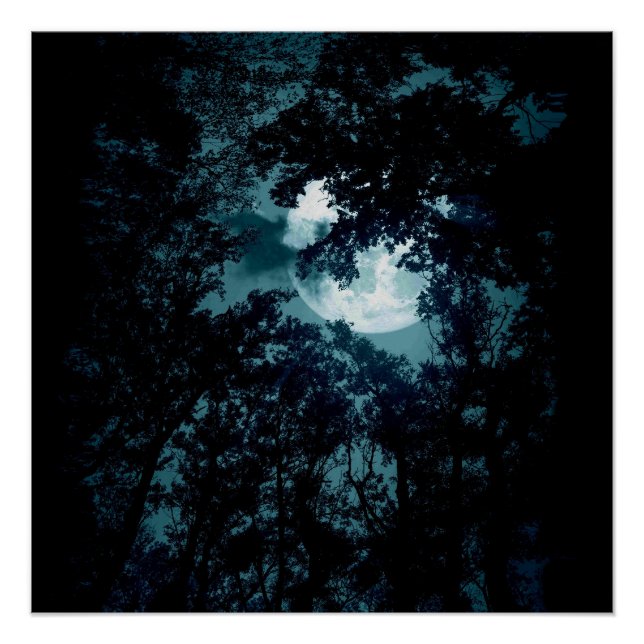 Beautiful Moon Glow Though Trees  Poster (Front)