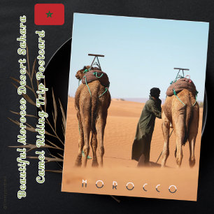 Beautiful Morocco Desert Sahara Camel Riding Trip Postcard