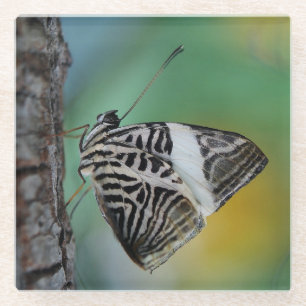 Beautiful Mosaic Zebra Butterfly Glass Coaster