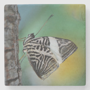Beautiful Mosaic Zebra Butterfly Stone Coaster