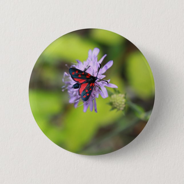 Beautiful Moth 2 Inch Round Button (Front)