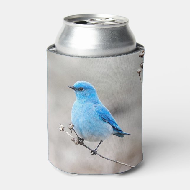 Beautiful Mountain Bluebird Can Cooler (Can Front)