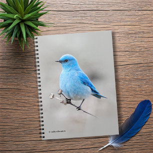 Beautiful Mountain Bluebird Notebook