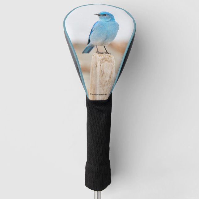 Beautiful Mountain Bluebird on a Stump Golf Head Cover (Front)