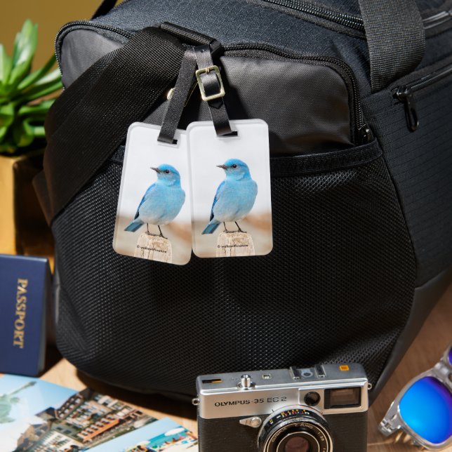 Beautiful Mountain Bluebird Songbird at Beach Luggage Tag (Front & Back)