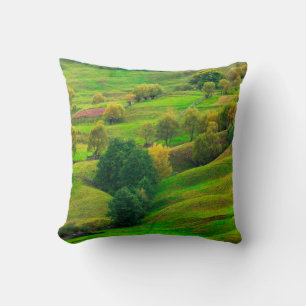 Beautiful mountain landscape in evening sunlight. throw pillow