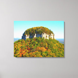 Beautiful Mountain Scenery Canvas Print