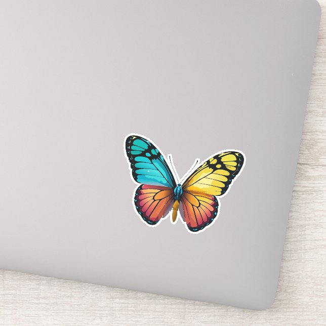 Beautiful Multicolored Butterfly (Detail)