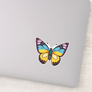 Beautiful Multicolored Butterfly