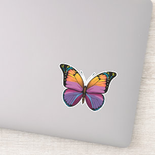 Beautiful Multicolored Butterfly