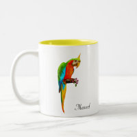 Beautiful Multicolored Macaw Bird