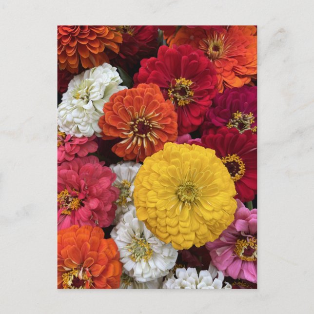 Beautiful Mums Postcard (Front)