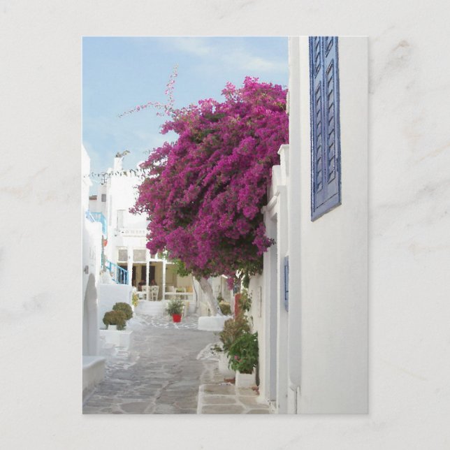 Beautiful Mykonos Postcard (Front)