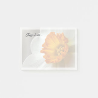 Beautiful Narcissus Bloom Macro Post-it Notes