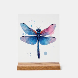 Beautiful Nature Colourful Graphic Pattern Dragonf Acrylic Sign