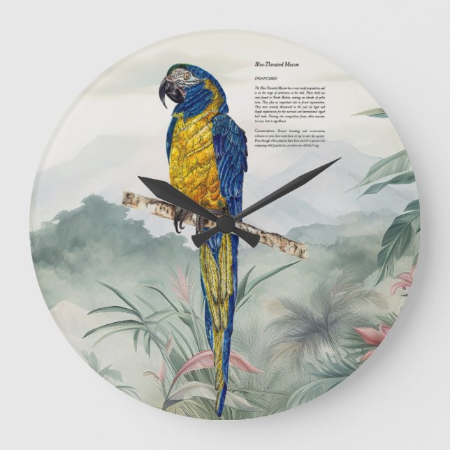 Beautiful nature inspired Endangered Macaw Large Clock (Front)