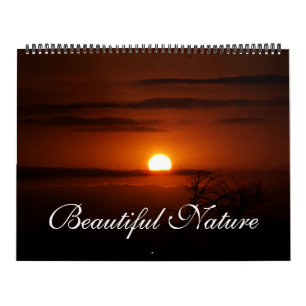 Beautiful Nature's Canvas 2011 Calendar