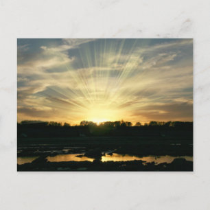 Beautiful new day postcard